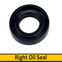 Right Oil Seal